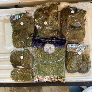 Moss grass for DIY projects  6 unopened bags